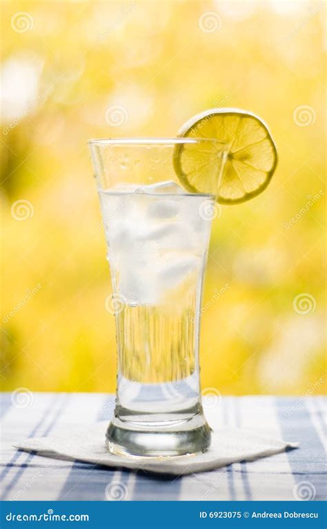 Glass with Water Lemon and Ice Stock Image - Image of leaves, glass ...