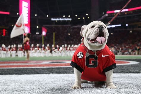 Georgia Bulldogs Wallpaper 2020 ~ Georgia Bulldogs Football Wallpapers ...