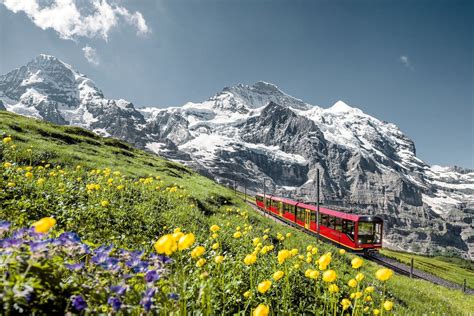 2024年 WOW SWITZERLAND - 出発前に知っておくべきことすべて - トリップアドバイザー