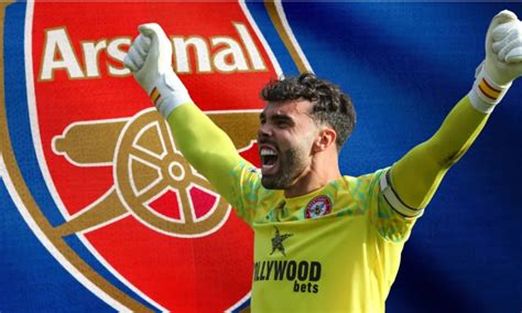 Transfer: Why we signed David Raya – Arsenal - Daily Post Nigeria