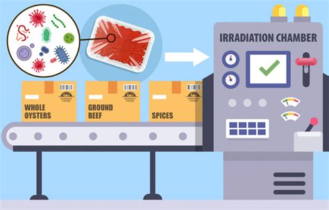 ¿En qué consiste el proceso de irradiación en los alimentos ...