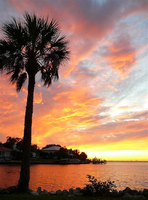 Tampa Daily Photo: Best of Tampa Sunsets in 2009: Ablaze with Fiery Color