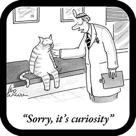 Curiosity Killed The Cat | Podcasts su Audible | Audible.it