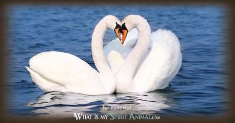 Swan Symbolism & Meaning | Swan Spirit, Totem, & Power Animal