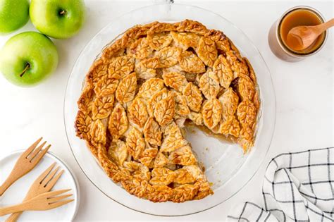 BEST Cinnamon Apple Pie Recipe (Tart Apples & Delicious Spice!)