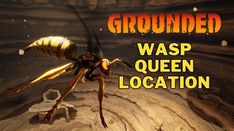 Where is The Wasp Queen in Grounded | Grounded Wasp Queen Location - YouTube