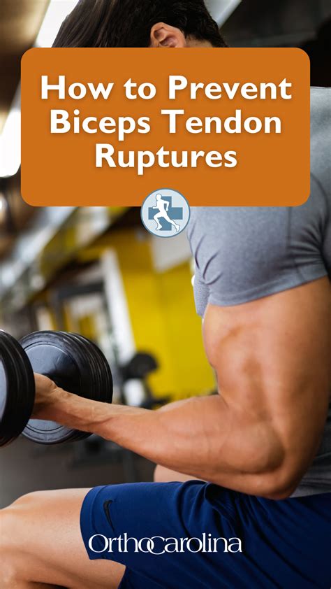 How to Prevent Biceps Tendon Ruptures in 2022 | Bicep tendonitis, Biceps, Bicep muscle