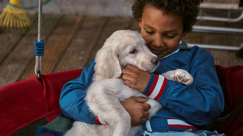 Easy Guide to Introducing Puppies and Children | Purina