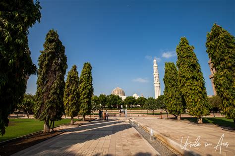 Lines and Curves and Sacred Spaces: Two Muscat Mosques, Oman » Ursula's ...