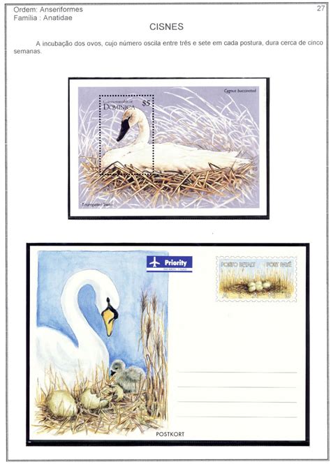 BIRDS ON STAMPS: Order Anseriformes - Swans