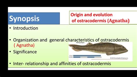 Origin, evolution and general characters of Agnatha: Ostracoderms and Cyclostomes;M.sc zoology ...