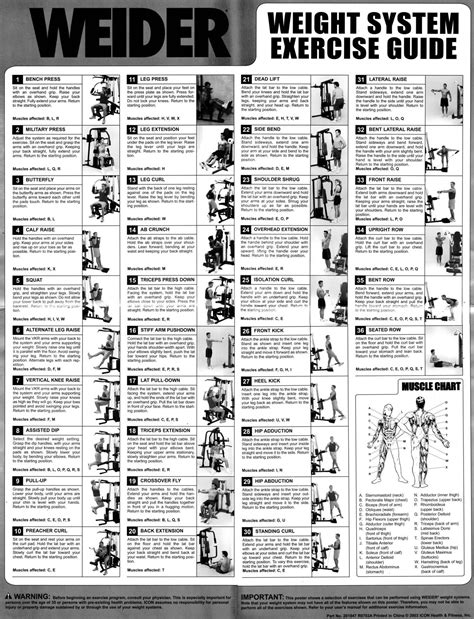 Weider Pro 6900 Exercise Chart