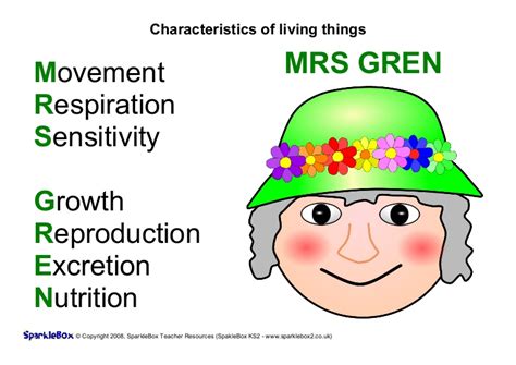 1-B Living vs NonLiving - CHS Biology