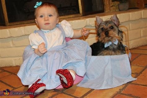 Wizard of Oz - Baby and Dog Costume Ideas | DIY Costumes Under $25 - Photo 2/2