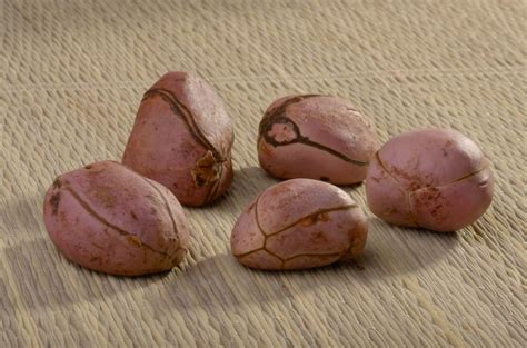 7 Health Benefits of Bissy (Kola Nuts) - Jamaicans and Jamaica ...