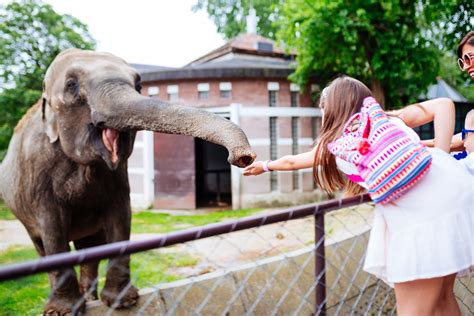 Best zoos in Europe, which cities not to miss