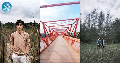 Lorong Halus Wetland: Hidden Dirt Tracks & Sunset Bridge