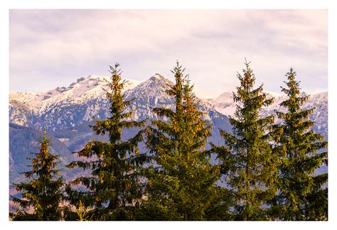 Hiking in the Carpathian Mountains: December edition on Behance