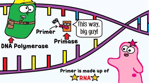 DNA Replication: The Cell's Extreme Team Sport - YouTube