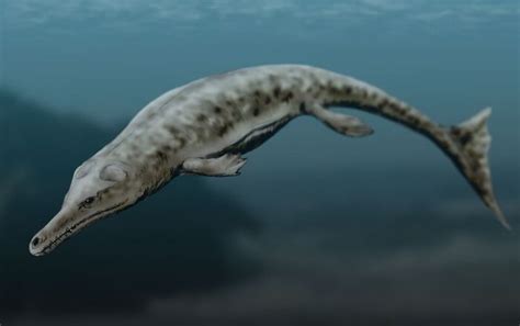 Crocodylomorpha (Eocene Split) | Speculative Evolution Wiki | Fandom powered by Wikia