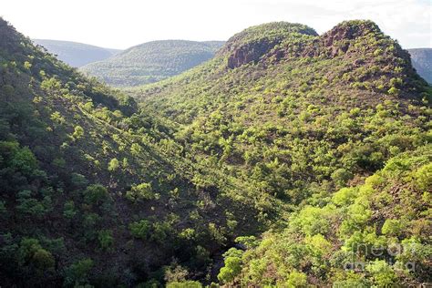 Waterberg Mountain Range Photograph by Peter Chadwick/science Photo Library - Fine Art America