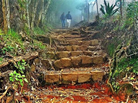 10 Kodaikanal Trekking Places, Trekking Places in Kodaikanal - Treebo