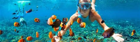 Private Snorkeling Trip in Hurghada | Hurghada Snorking Tour