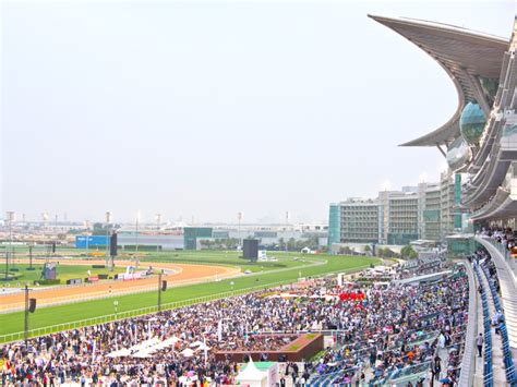 Dubai World Cup 2023: Everything you need to know