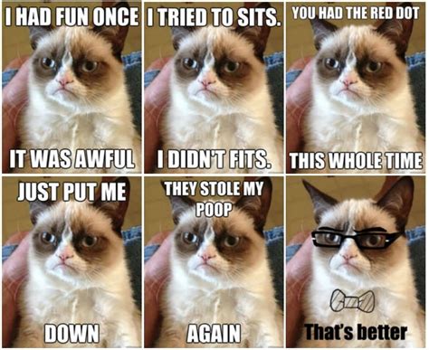 24 Most Funniest Grumpy Cat Meme Pictures & Jokes | Kent Info