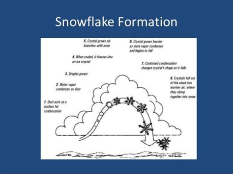 The Physics of Snow