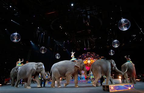 Ringling Bros. to Retire All Circus Elephants in May — 2 Years Early ...