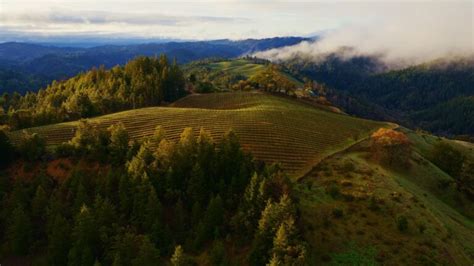 macOS Sonoma Horizon - Official Stock Wallpaper | Depth Effect ...