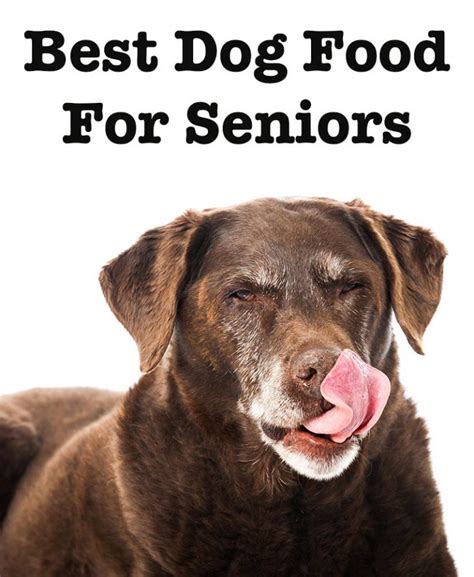 Best Dog Food For Senior Dogs - Reviews And Tips