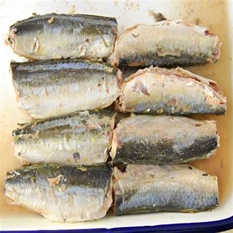 good canned mackerel - Jutai Foods Group