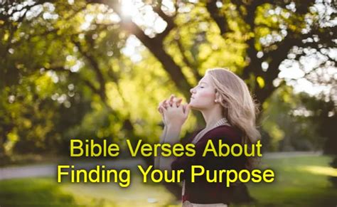 Bible Verses About Finding Your Purpose - KJV