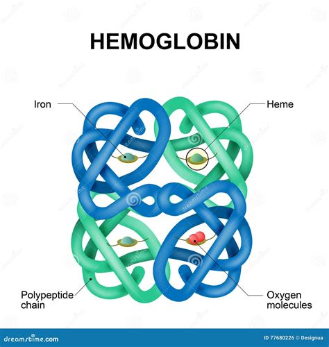 Hemoglobin Cartoons, Illustrations & Vector Stock Images - 9321 Pictures to download from ...