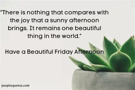 20 Best Friday Afternoon Quotes