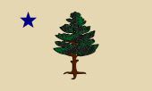 Pine Tree Flag - Wikipedia