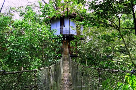 Staying in a Jungle Treehouse in the Amazon! - THAT BACKPACKER