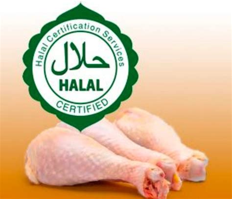 Halal slaughter in the poultry industry