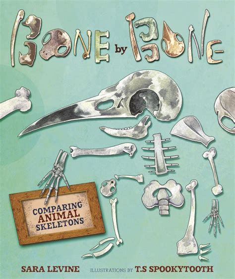 Bone by Bone — Sara Levine