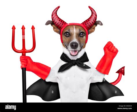 devil dog behind a blank white banner Stock Photo - Alamy