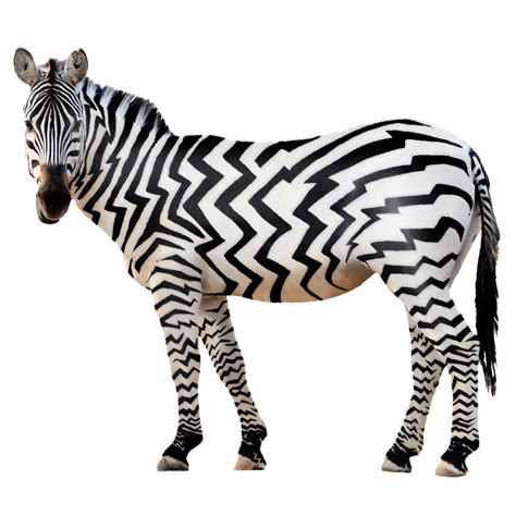 Zebra PNG image transparent image download, size: 1500x1500px