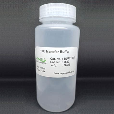 10X Transfer Buffer (For Western Blot) – GeneToProtein