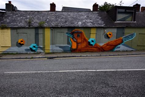 Waterford Walls | A Guided Street Art Tour | CarpeDiemEire