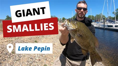 Shore Fishing Lake Pepin with Swim baits | Huge Smallmouth Bass + BONUS ...