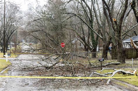 Answers to common questions about handling ice storm-damaged trees - mlive.com