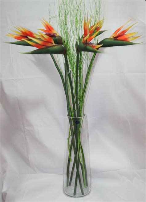 Birds of Paradise Artificial Flower Arrangement in Vase: Amazon.co.uk ...