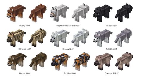 All Minecraft Wolf variants and where to find them