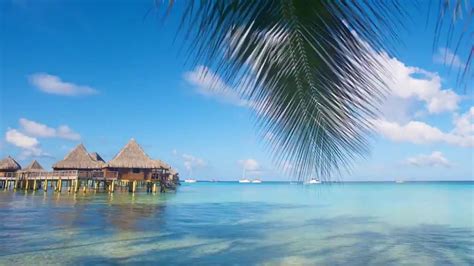 POLINESIA - Rangiora - Hotel Kia Ora Resort & Spa in Rangiroa - YouTube